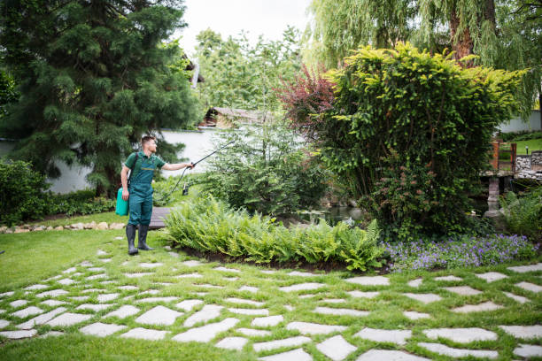 Best Pest Control for Businesses  in Pleasant Valley, MO