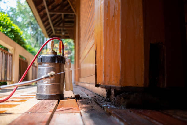 Best Best Pest Control Companies  in Pleasant Valley, MO