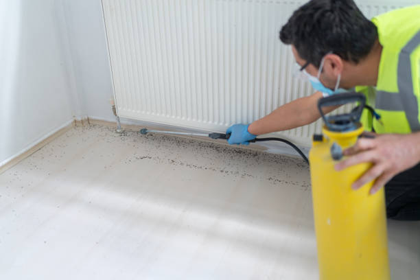 Best Pest Removal Services  in Pleasant Valley, MO