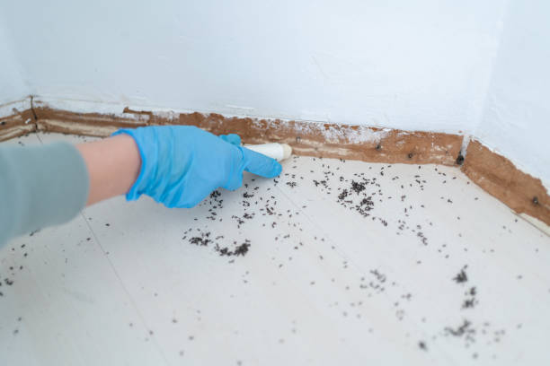 Best Pest Prevention Services  in Pleasant Valley, MO