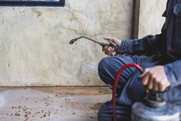 Best Commercial Pest Control Services  in Pleasant Valley, MO