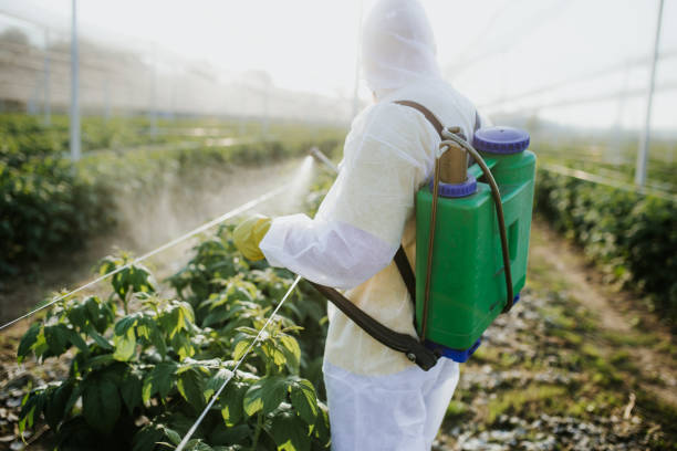 Best Bed Bug Extermination  in Pleasant Valley, MO